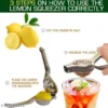 Dream Basket Lemon Squeezer / Hand Juicer / Manual Citrus Juicer (Pack of 4)