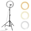 Casewilla 10 inch Big LED Selfie Ring Light with Tripod Stand 7 Feet | 3 light mode Ring Flash